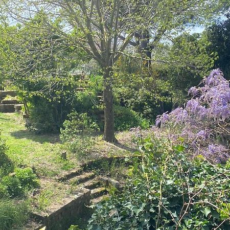 Agriturismo Solidor Пітільяно Екстер'єр фото