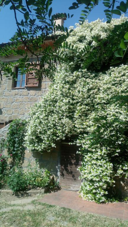 Agriturismo Solidor Пітільяно Екстер'єр фото